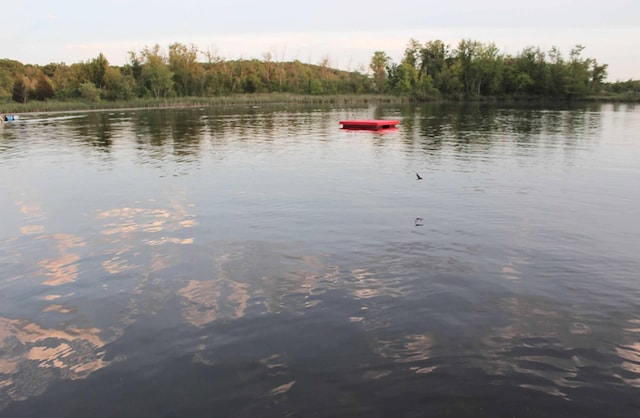5780 Elvira, Pinckney, MI 48169 - water view featuring a boat dock and a heavily wooded area