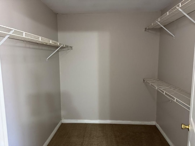 22031 Laurel St, Clinton Township, MI 48035 - walk in closet featuring carpet flooring