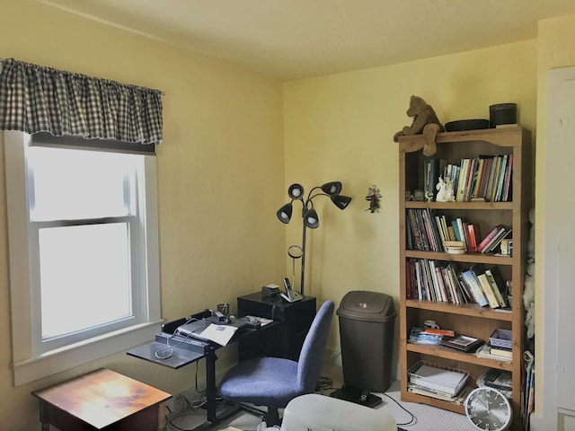 399 E Vermont Ave, White Pigeon, MI 49099 - view of home office