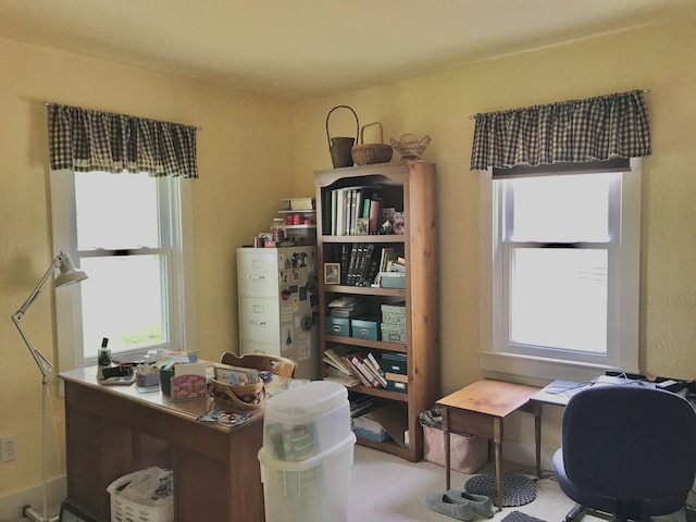 399 E Vermont Ave, White Pigeon, MI 49099 - office area with healthy amount of natural light and carpet flooring