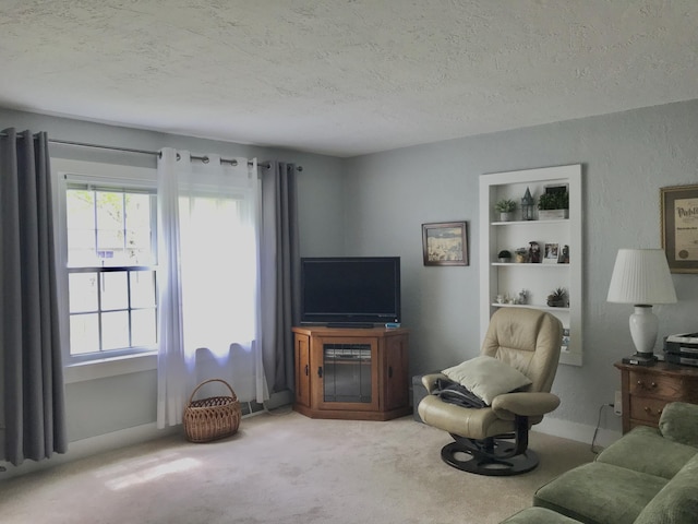 399 E Vermont Ave, White Pigeon, MI 49099 - living area featuring a textured ceiling, plenty of natural light, carpet floors, and baseboards