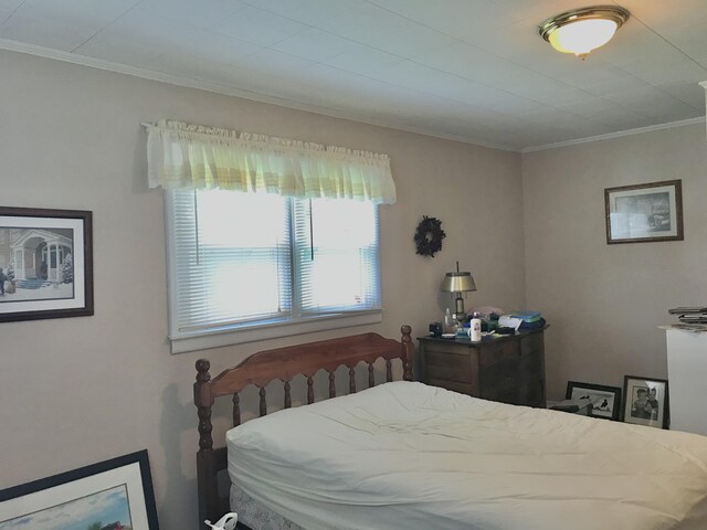 399 E Vermont Ave, White Pigeon, MI 49099 - bedroom with ornamental molding