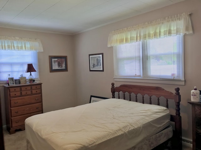 399 E Vermont Ave, White Pigeon, MI 49099 - bedroom with ornamental molding