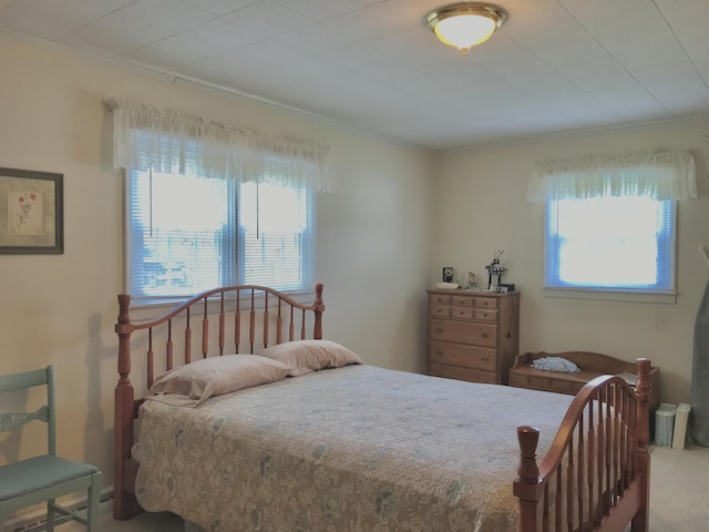 399 E Vermont Ave, White Pigeon, MI 49099 - carpeted bedroom featuring crown molding