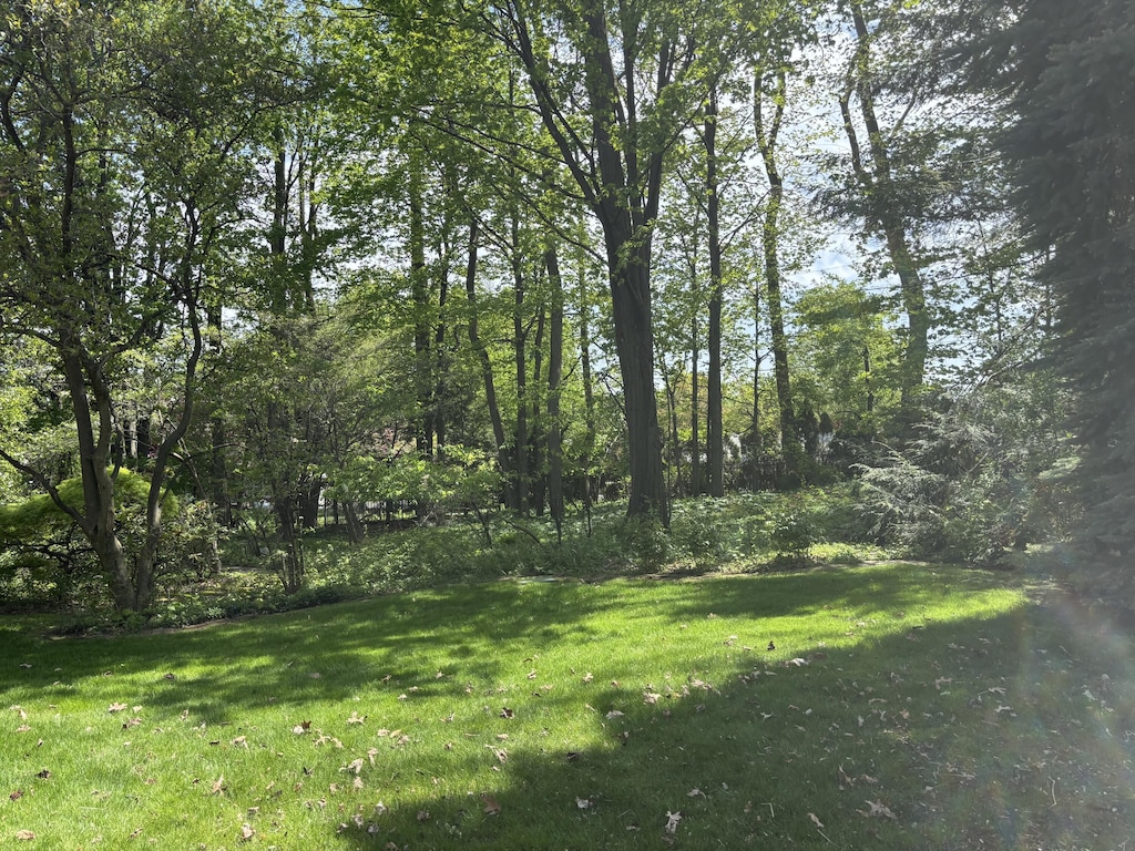 view of grassy yard