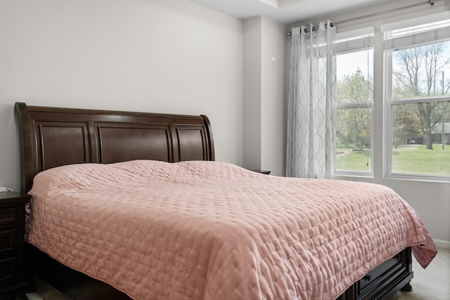 4814 Cranston Rd Unit 86, Canton, MI 48188 - bedroom with multiple windows, carpet flooring, and baseboards