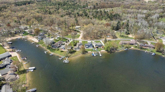 8607 Cochise Ct, Howard City, MI 49329 - view of property location featuring a large body of water, a forest, and nearby suburban area
