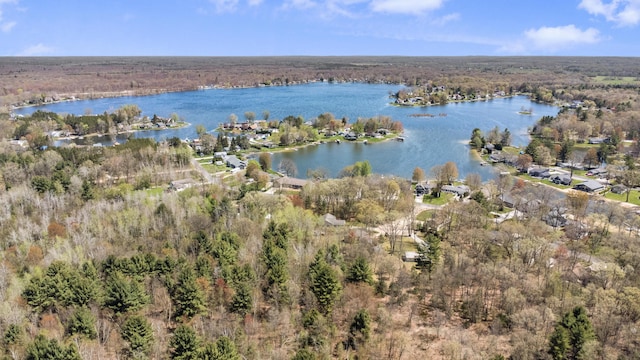 8607 Cochise Ct, Howard City, MI 49329 - view of property location with a nearby body of water and a heavily wooded area