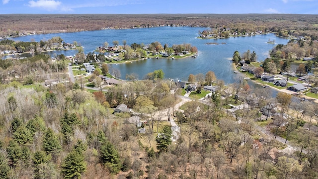 8607 Cochise Ct, Howard City, MI 49329 - aerial overview of property's location with a large body of water, a heavily wooded area, and nearby suburban area