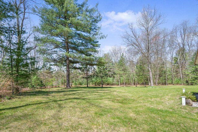 8607 Cochise Ct, Howard City, MI 49329 - view of grassy yard with a forest view
