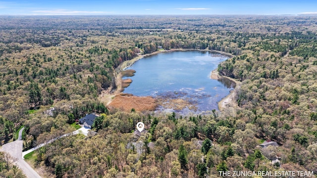 1087 Shore Walk Ln, Whitehall, MI 49461 - aerial overview of property's location with a heavily wooded area and a nearby body of water