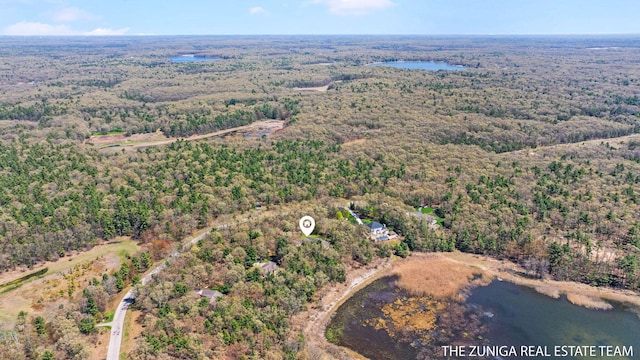 1087 Shore Walk Ln, Whitehall, MI 49461 - aerial view of property and surrounding area featuring a forest and a large body of water