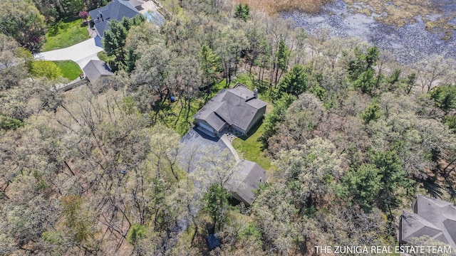 1087 Shore Walk Ln, Whitehall, MI 49461 - aerial view of property's location