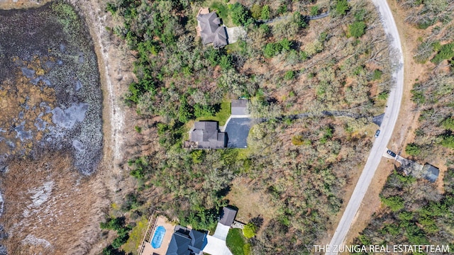 1087 Shore Walk Ln, Whitehall, MI 49461 - aerial view