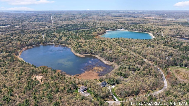 1087 Shore Walk Ln, Whitehall, MI 49461 - view of property location featuring a nearby body of water and a forest