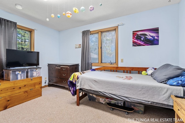 1087 Shore Walk Ln, Whitehall, MI 49461 - bedroom with carpet flooring