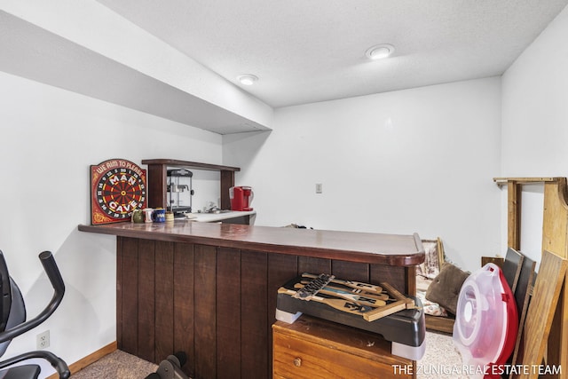 1087 Shore Walk Ln, Whitehall, MI 49461 - indoor dry bar featuring carpet flooring