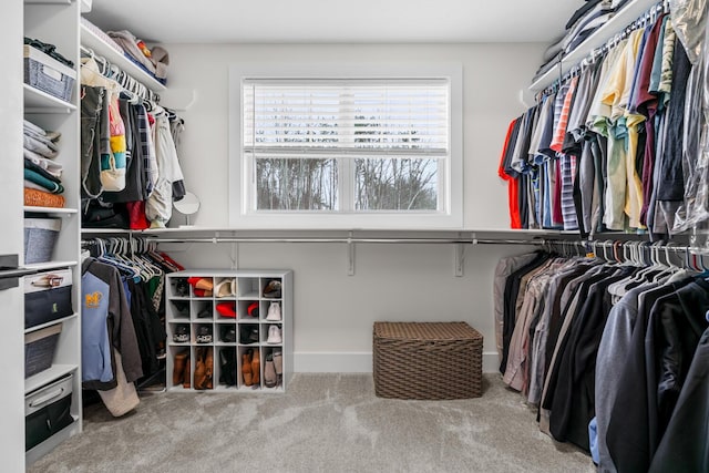 5414 Bradley Ct, Kalamazoo, MI 49009 - walk in closet with carpet flooring
