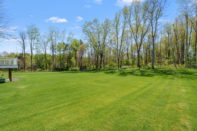 5414 Bradley Ct, Kalamazoo, MI 49009 - view of grassy yard