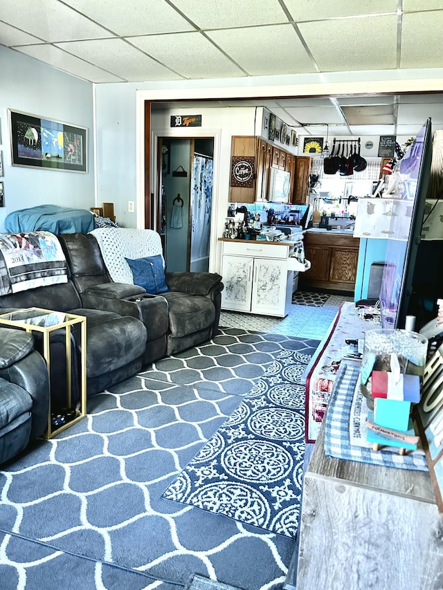 117 Hanover Ct, Hanover, MI 49241 - living room with a paneled ceiling