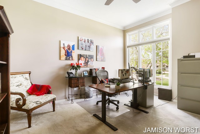 office with carpet flooring, crown molding, plenty of natural light, ceiling fan, and baseboards