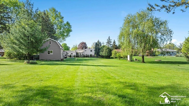 view of green lawn