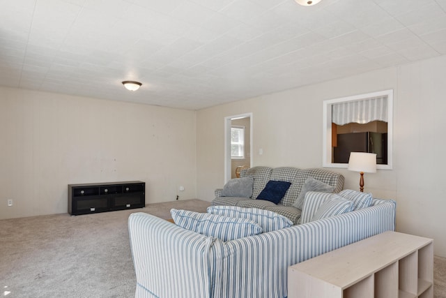 living room with carpet flooring
