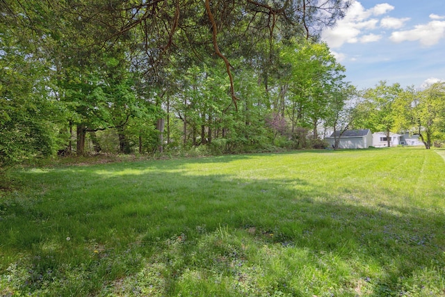 view of green lawn