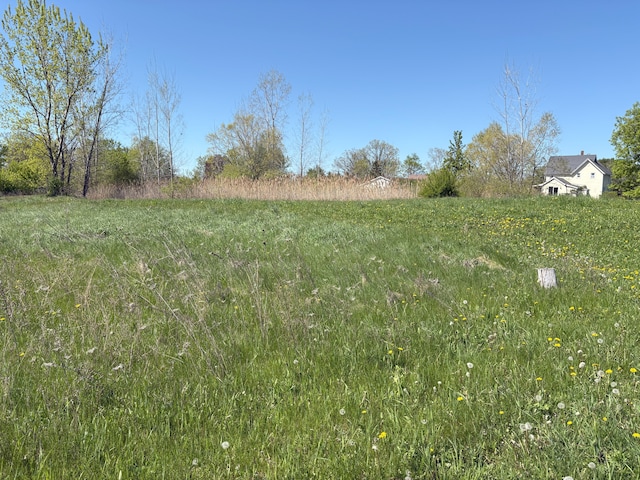 8327 Duffield Rd, Gaines, MI 48436 - view of yard with a view of rural / pastoral area