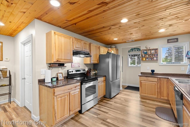 9220 Crofoot Rd, Fowlerville, MI 48836 - kitchen with appliances with stainless steel finishes, wooden ceiling, under cabinet range hood, recessed lighting, and light wood-style flooring