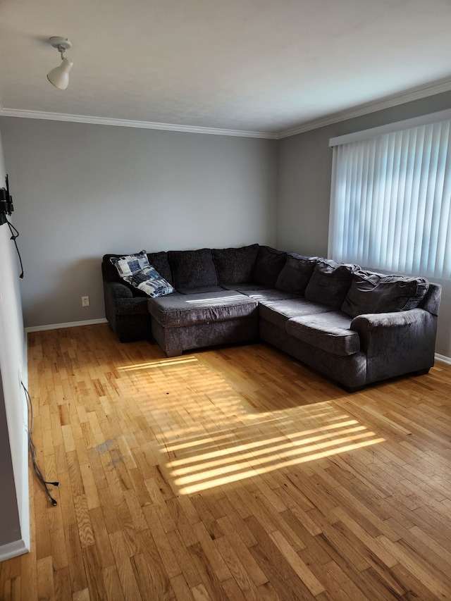 501 Virginia Ave, East Lansing, MI 48823 - living area featuring hardwood / wood-style floors, crown molding, and baseboards