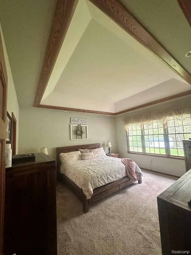 3217 Autumn View Ln, Metamora, MI 48455 - view of carpeted bedroom