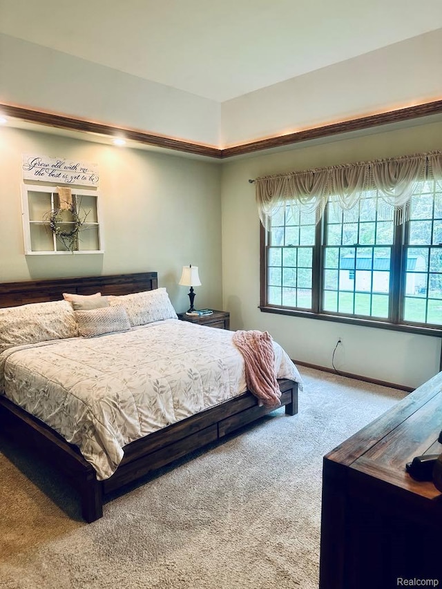 3217 Autumn View Ln, Metamora, MI 48455 - view of carpeted bedroom