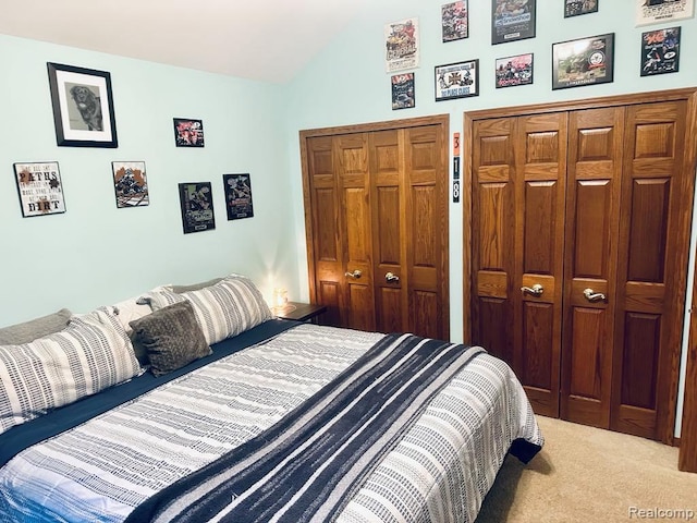3217 Autumn View Ln, Metamora, MI 48455 - carpeted bedroom featuring multiple closets and lofted ceiling