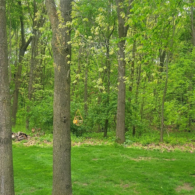 3217 Autumn View Ln, Metamora, MI 48455 - view of woods