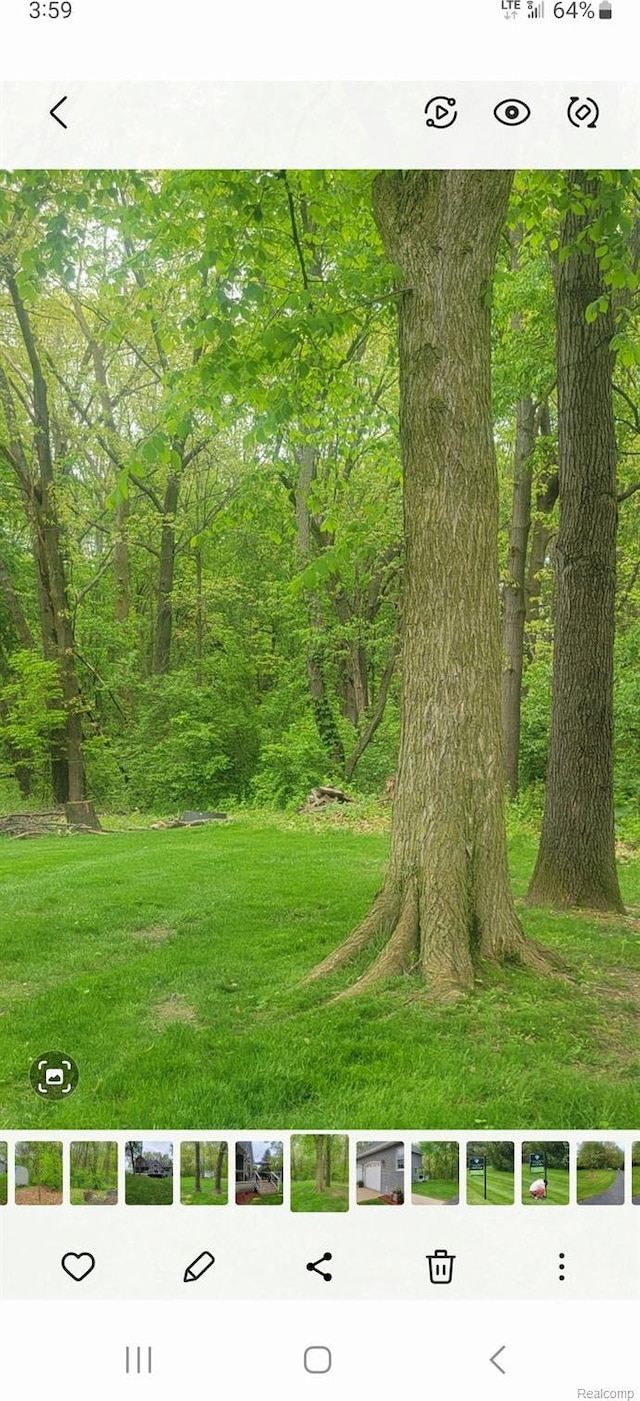 3217 Autumn View Ln, Metamora, MI 48455 - view of grassy yard