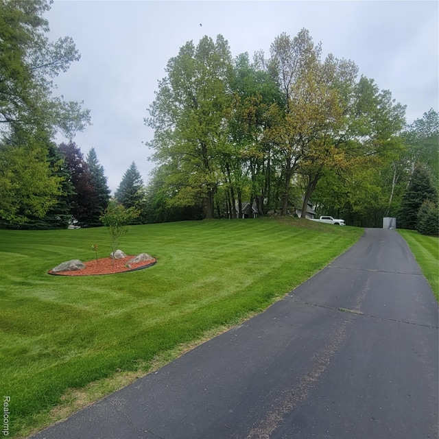 3217 Autumn View Ln, Metamora, MI 48455 - view of grassy yard