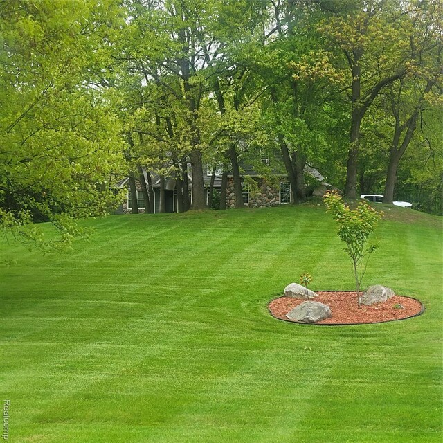 3217 Autumn View Ln, Metamora, MI 48455 - view of green lawn with view of scattered trees