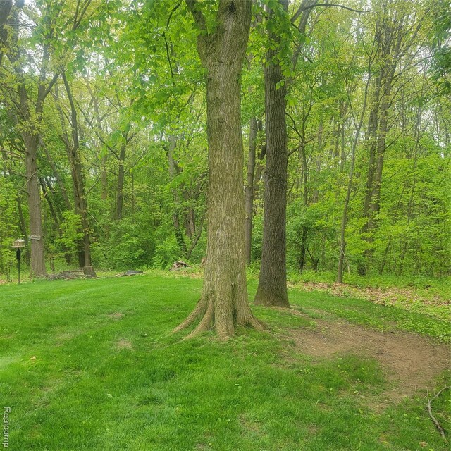 3217 Autumn View Ln, Metamora, MI 48455 - view of green lawn featuring a view of trees