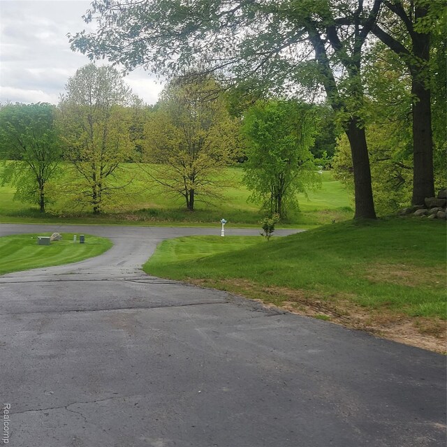 3217 Autumn View Ln, Metamora, MI 48455 - view of asphalt road