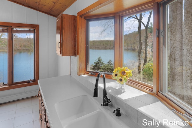 16972 James Dr, Big Rapids, MI 49307 - kitchen view of a water view, a sink, and light countertops