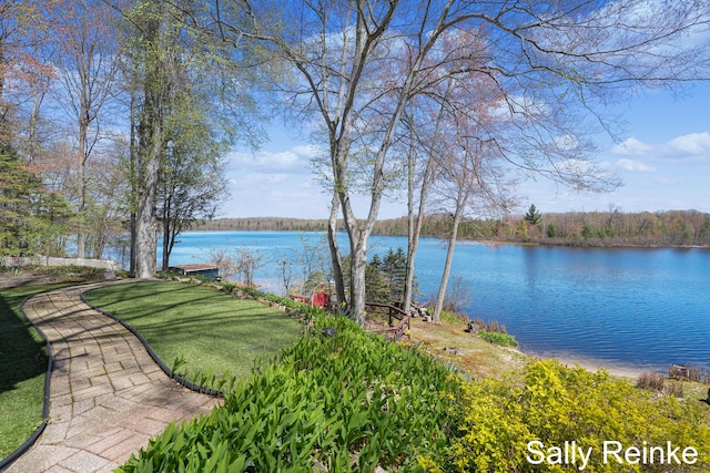 16972 James Dr, Big Rapids, MI 49307 - water view
