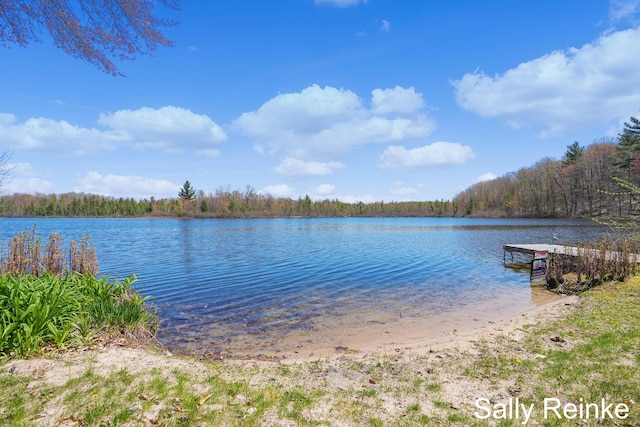 16972 James Dr, Big Rapids, MI 49307 - dock area featuring a water view and a wooded view