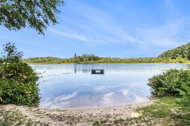 16972 James Dr, Big Rapids, MI 49307 - water view featuring a heavily wooded area