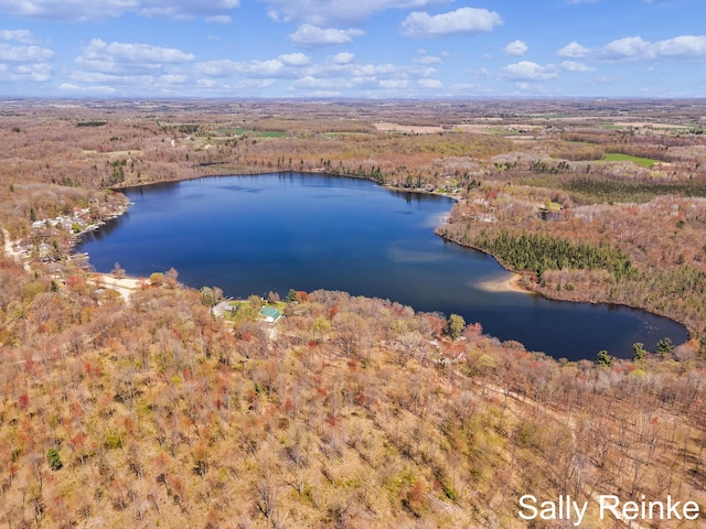 16972 James Dr, Big Rapids, MI 49307 - aerial view of a large body of water and a heavily wooded area