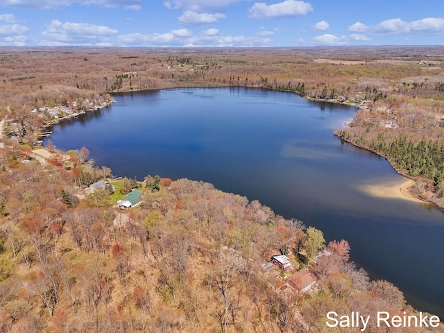16972 James Dr, Big Rapids, MI 49307 - view of property location with a forest and a nearby body of water
