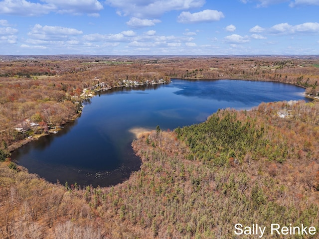 16972 James Dr, Big Rapids, MI 49307 - bird's eye view of a large body of water and a forest