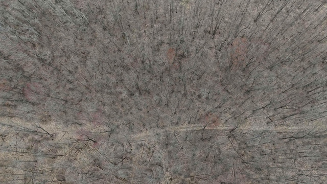 000 Woodline Rd, Rapid City, MI 49676