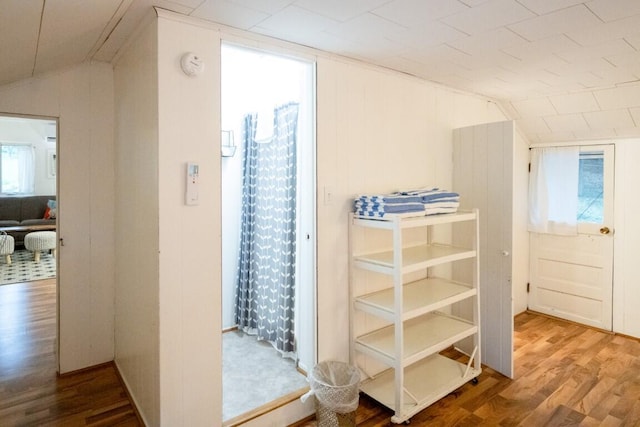 additional living space with wood finished floors, lofted ceiling, and healthy amount of natural light