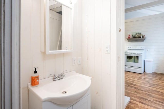 bathroom featuring wood finished floors and vanity
